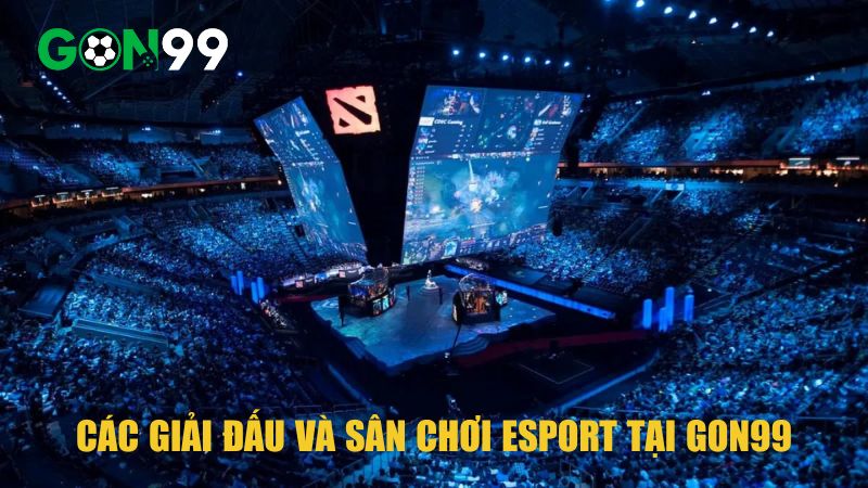 Các Giải Đấu Và Sân Chơi Esports Tại GON99