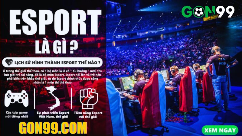 Esport Là Gì ?